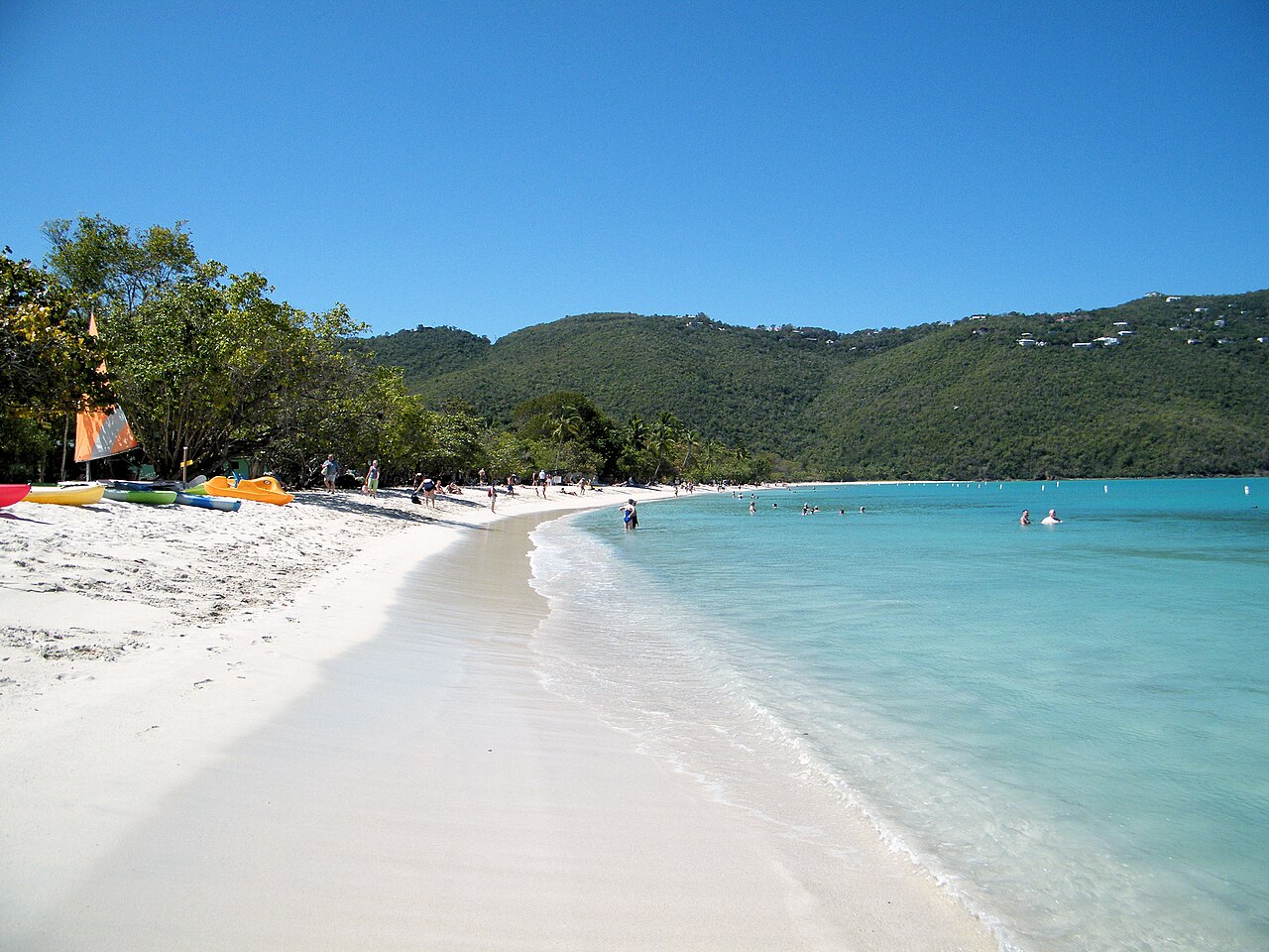Palm trees beside the clear blue water at Magens Bay, St. Thomas